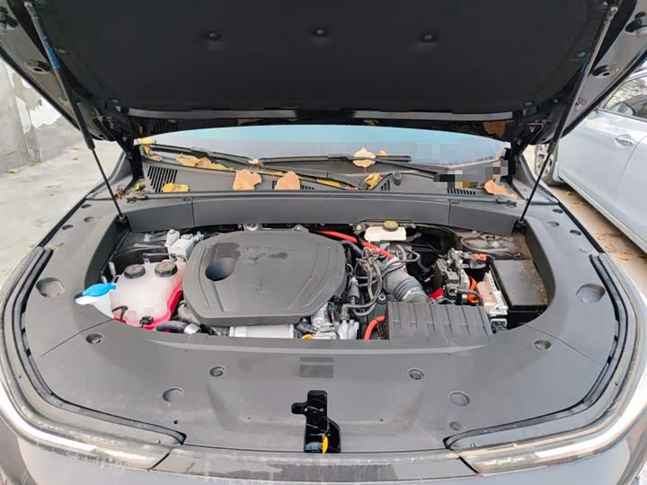 Фото 11 - Geely Galaxy L7