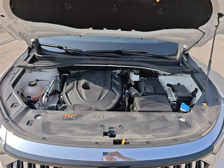 Фото 20 - Geely Okavango L