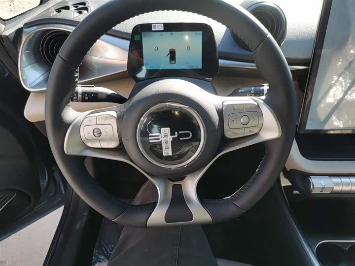 Фото 11 - BYD Dolphin