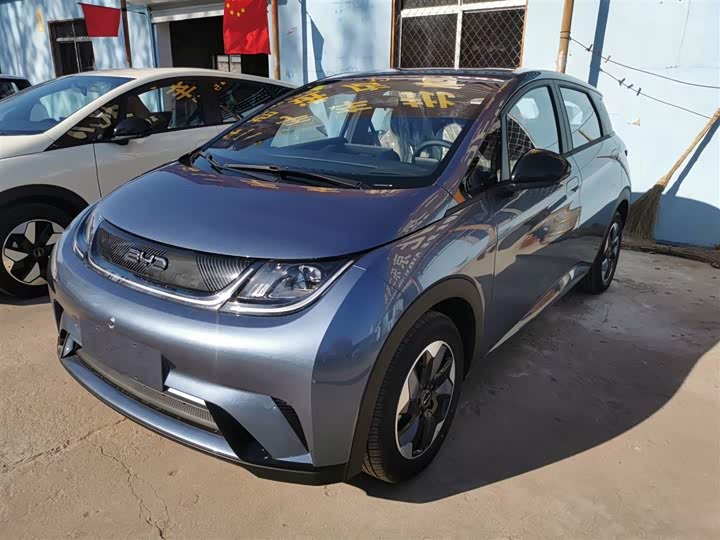 Фото 2 - BYD Dolphin