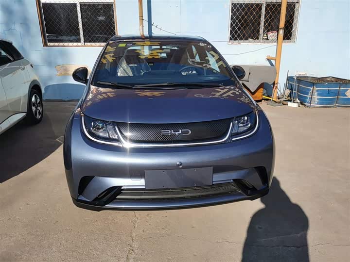 Фото 3 - BYD Dolphin