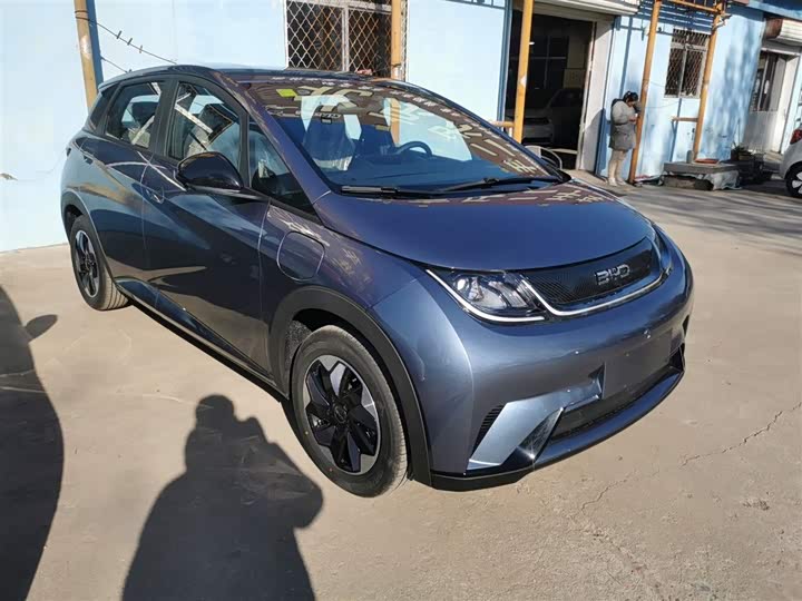 Фото 4 - BYD Dolphin