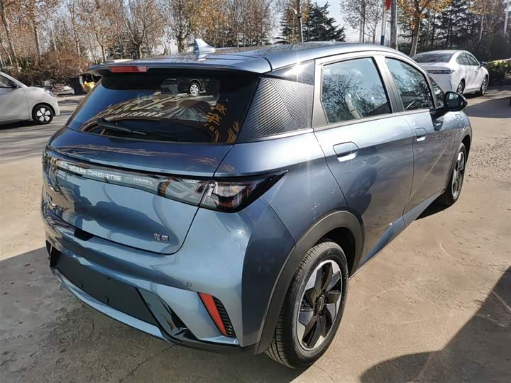 Фото 7 - BYD Dolphin