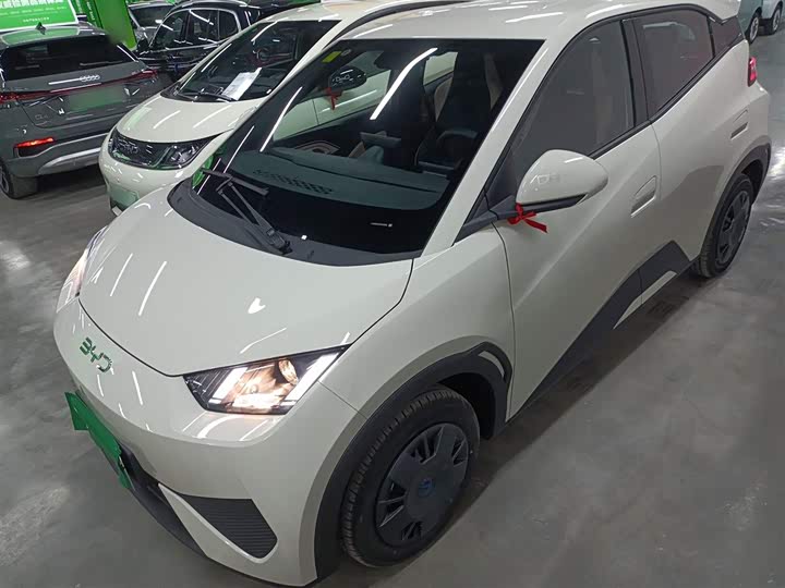 Фото 1 - BYD Seagull