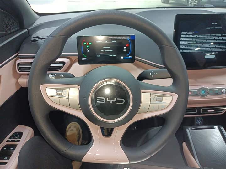 Фото 11 - BYD Seagull