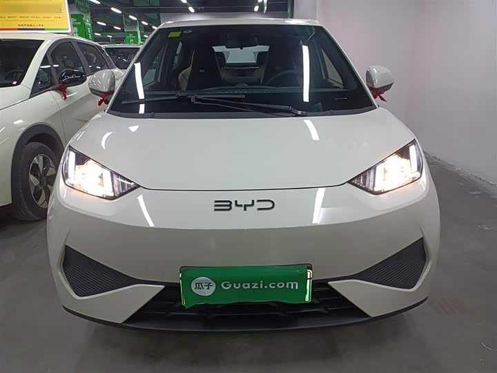 Фото 3 - BYD Seagull