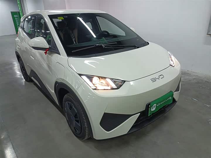 Фото 4 - BYD Seagull