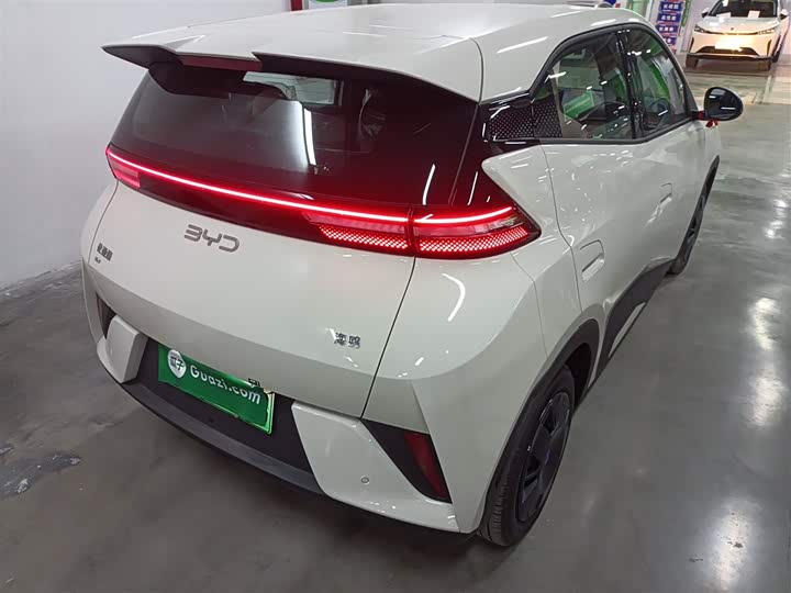 Фото 7 - BYD Seagull