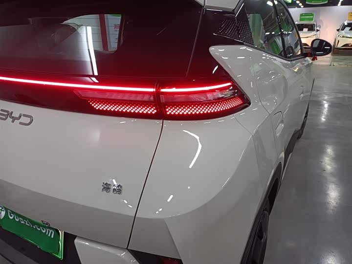 Фото 8 - BYD Seagull