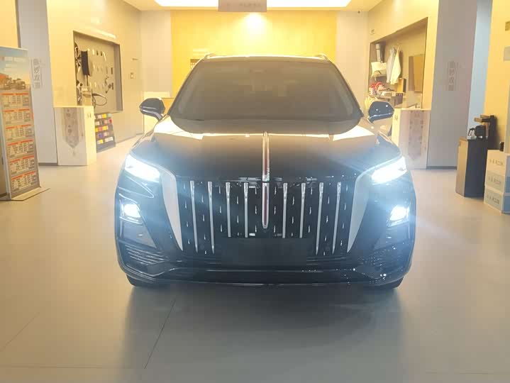 Фото 2 - Hongqi HS5