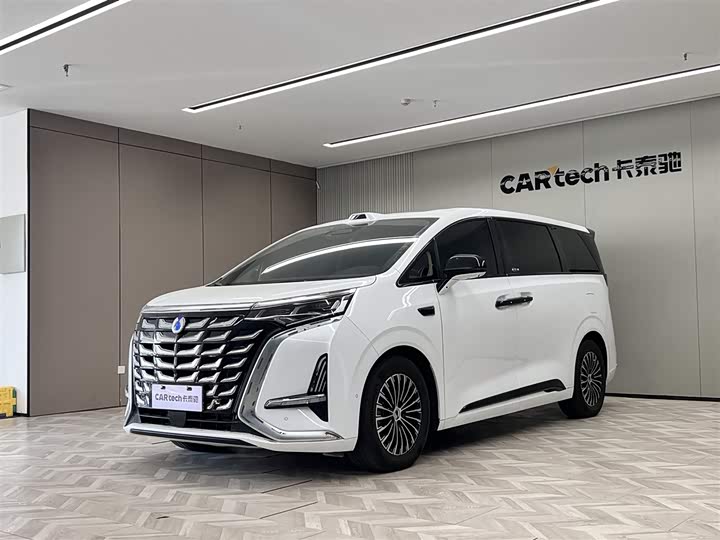 Фото 1 - Denza D9