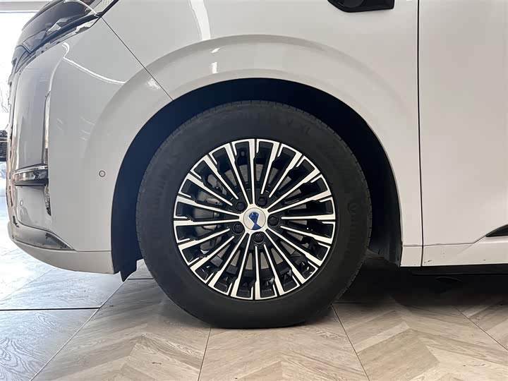 Фото 11 - Denza D9