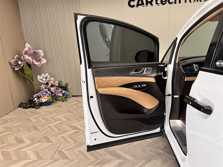 Фото 15 - Denza D9