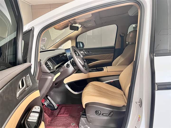 Фото 16 - Denza D9