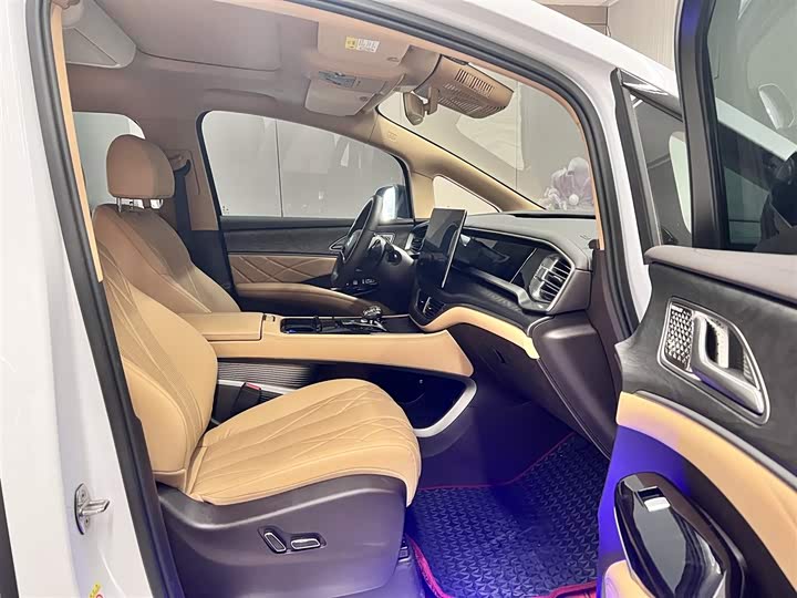 Фото 17 - Denza D9