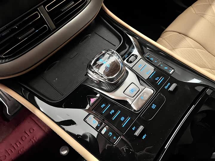 Фото 19 - Denza D9