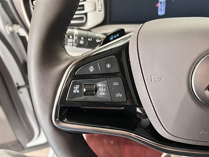 Фото 22 - Denza D9