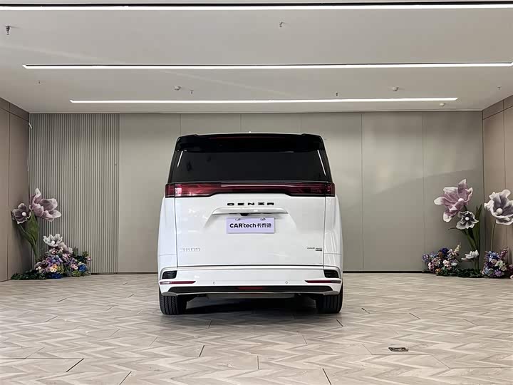 Фото 6 - Denza D9