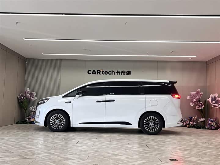 Фото 8 - Denza D9