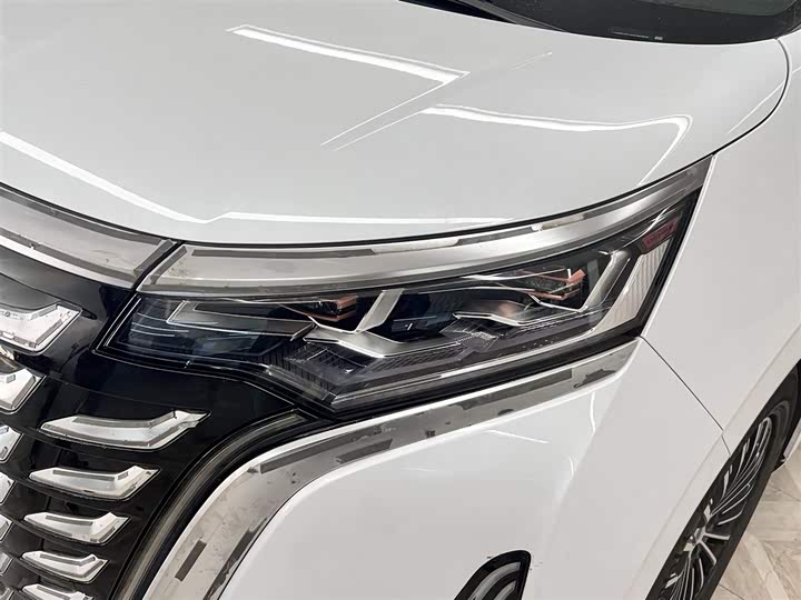 Фото 9 - Denza D9