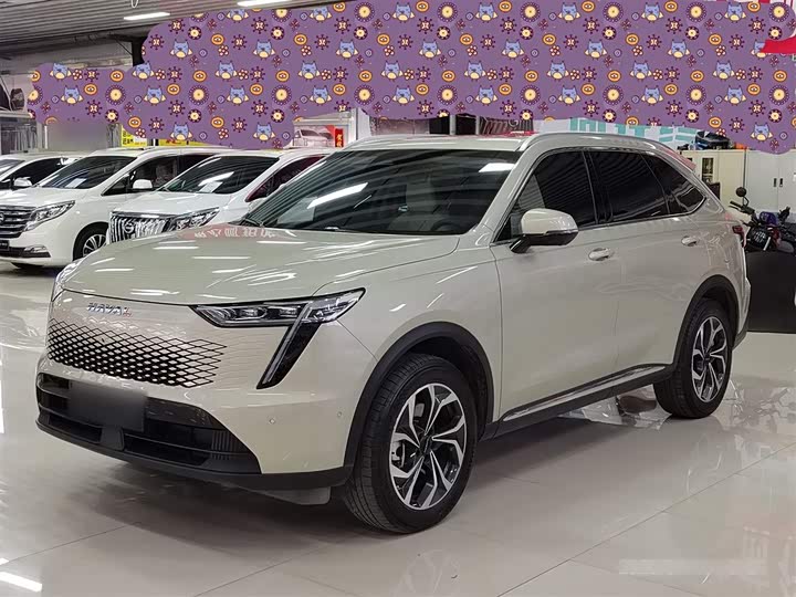 Фото 1 - Haval Ruge Max