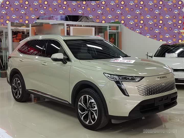 Фото 9 - Haval Ruge Max