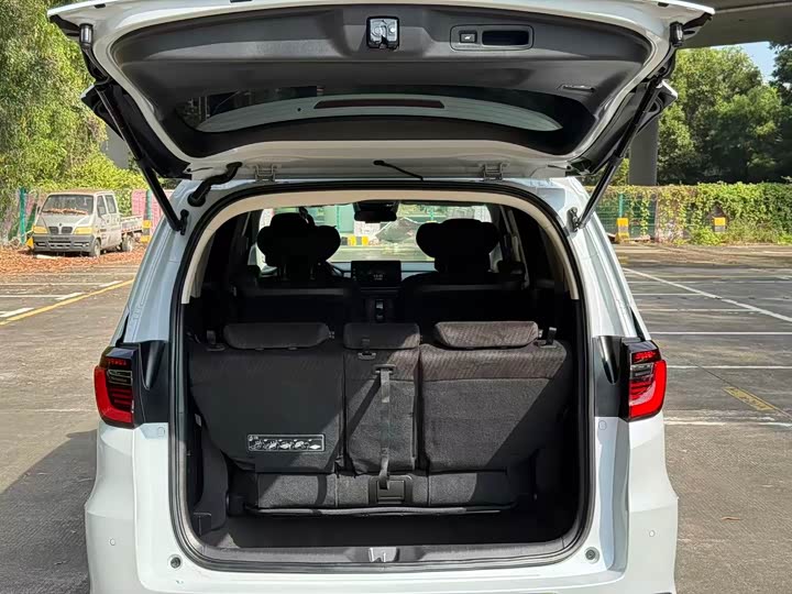 Фото 12 - Honda Elysion