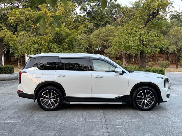 Фото 5 - GAC Trumpchi GS8