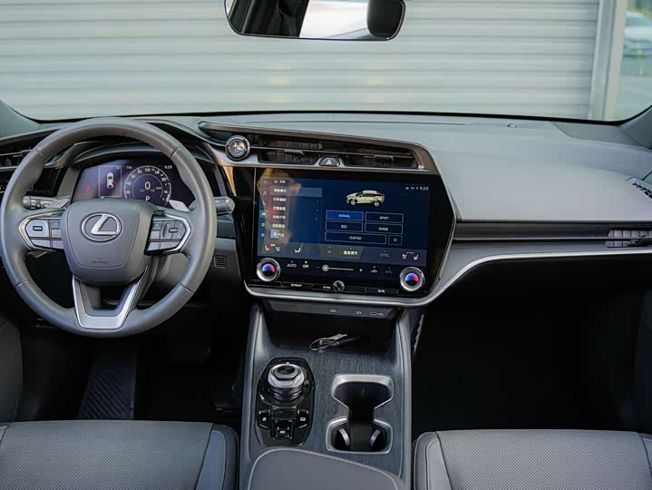 Фото 15 - Lexus RZ