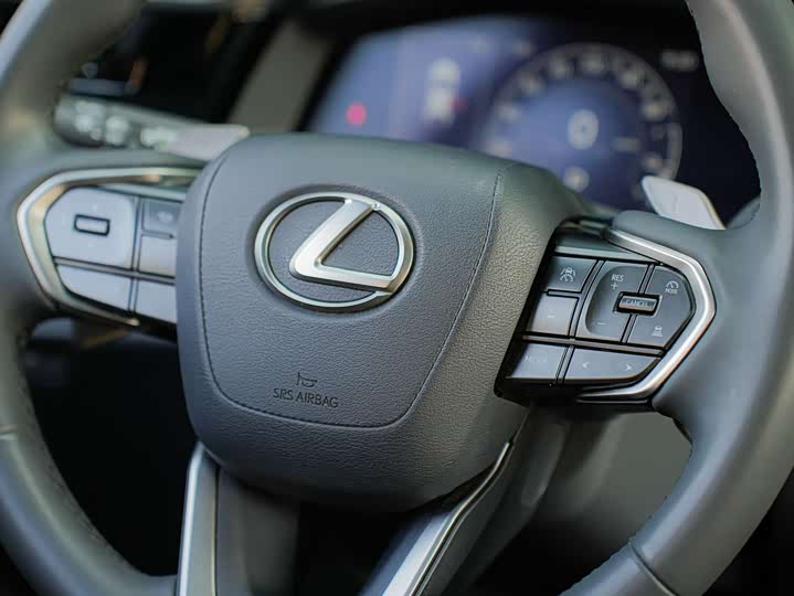 Фото 20 - Lexus RZ