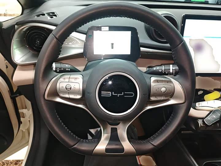 Фото 11 - BYD Dolphin