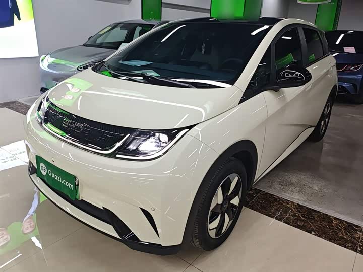 Фото 2 - BYD Dolphin