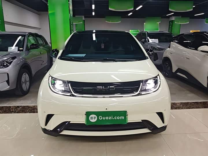 Фото 3 - BYD Dolphin