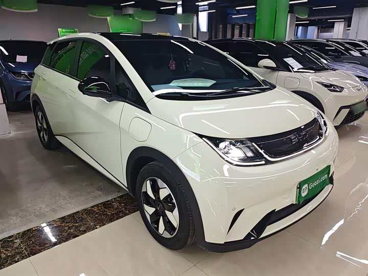 Фото 4 - BYD Dolphin