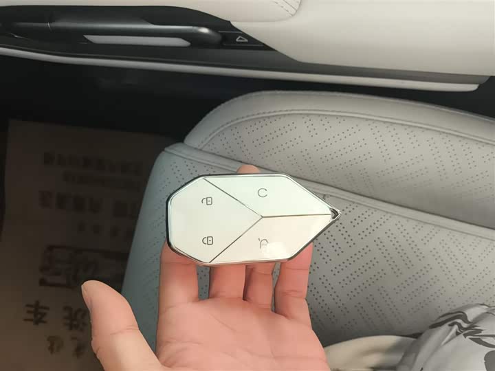 Фото 9 - BYD FangChengBao Titanium 3 (Tai 3)