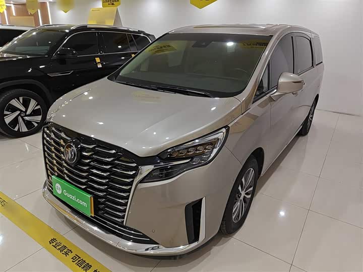 Фото 1 - Buick GL8 ES