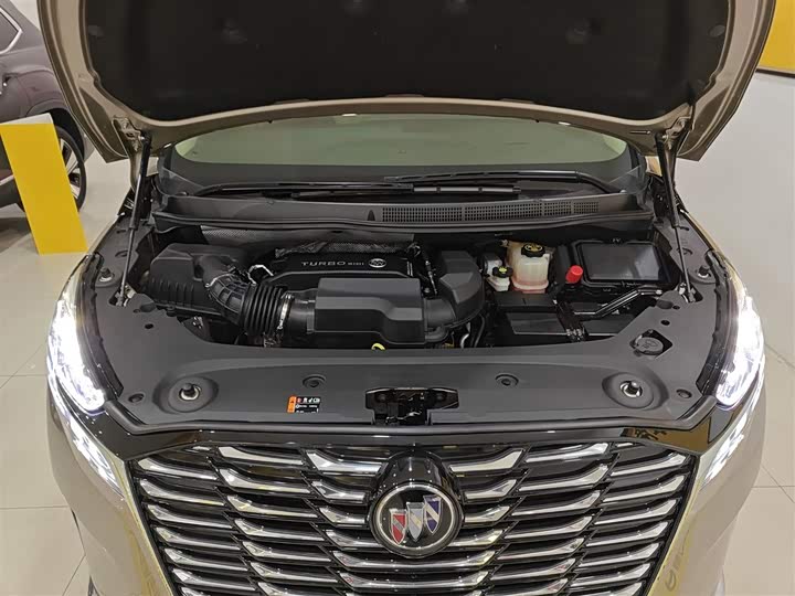 Фото 10 - Buick GL8 ES