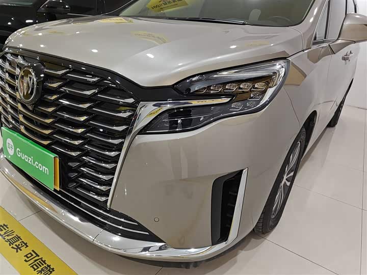 Фото 14 - Buick GL8 ES