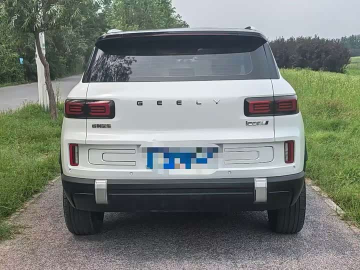 Фото 8 - Geely Icon