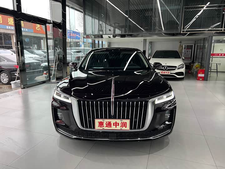 Фото 3 - Hongqi H9