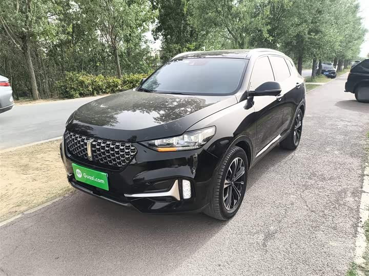 Фото 2 - Wey VV6