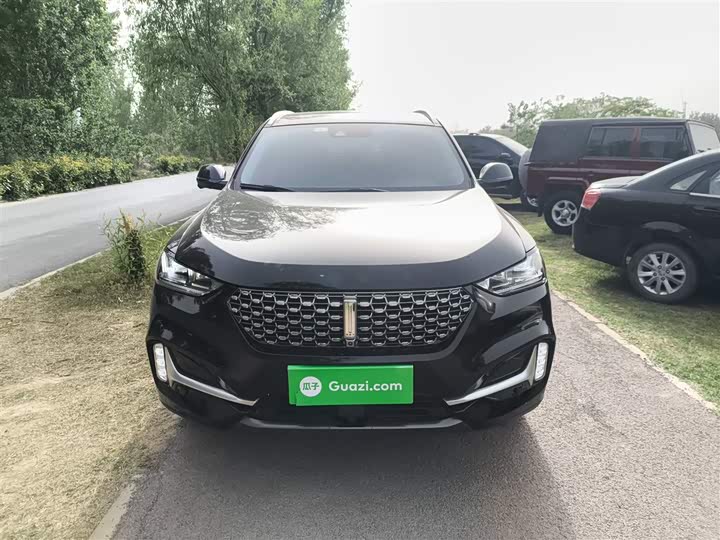 Фото 3 - Wey VV6