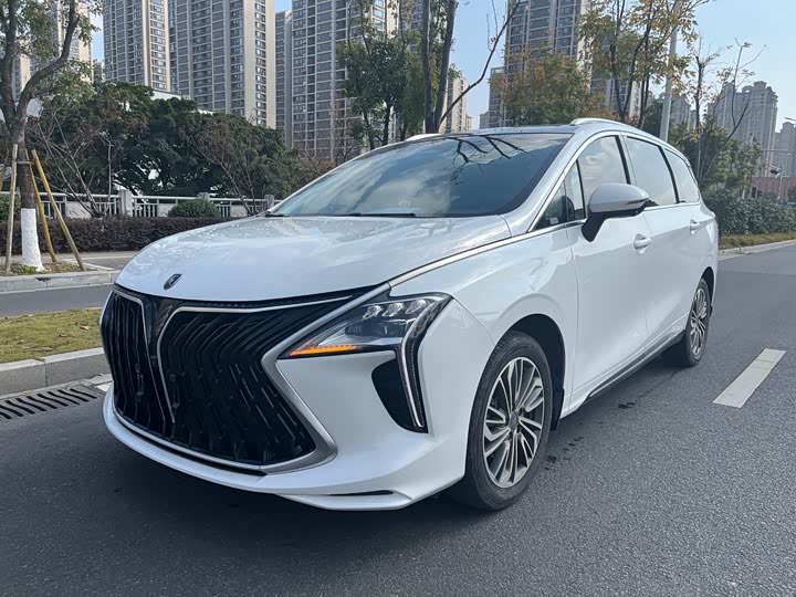 Фото 1 - Dongfeng Forthing Yacht