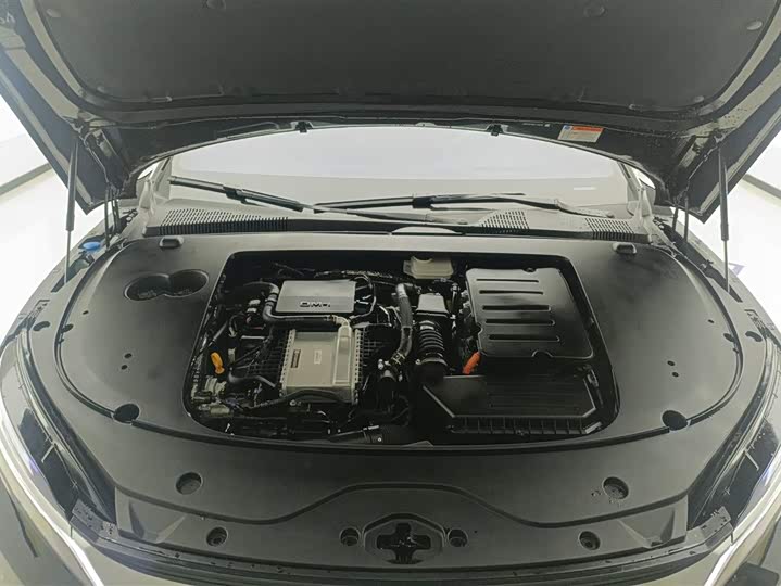 Фото 10 - BYD Han