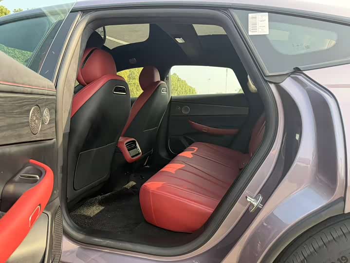 Фото 9 - Exeed Sterra ES