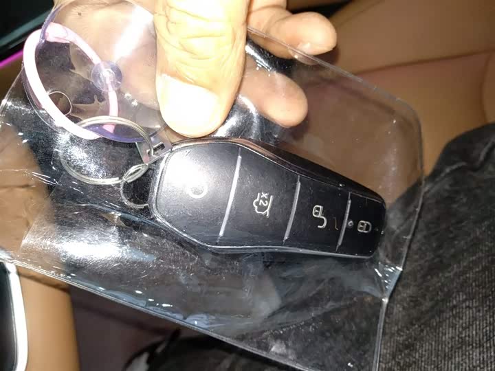 Фото 9 - BYD Han L