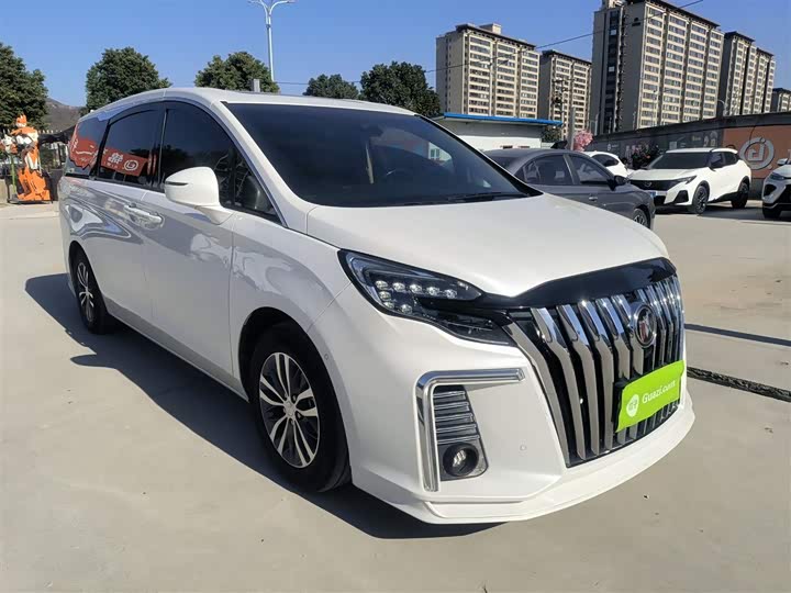 Buick GL8 ES 2021 2021款 ES陆尊 653T 尊享型