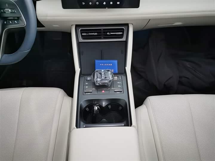 Фото 14 - BYD Qin L