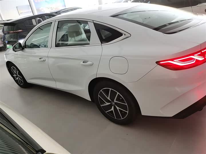 Фото 5 - BYD Qin L