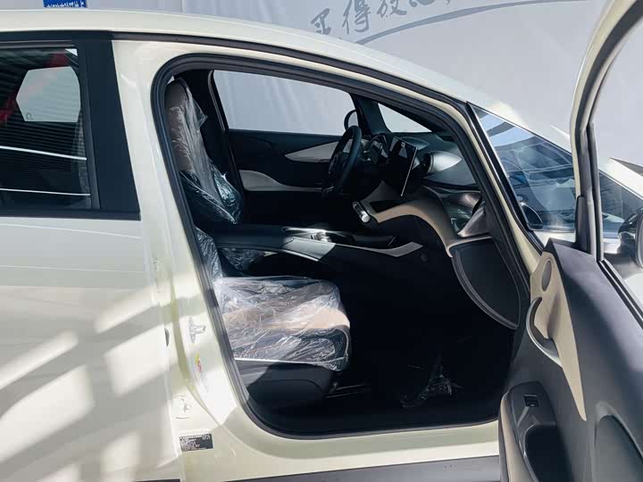 Фото 11 - BYD Dolphin